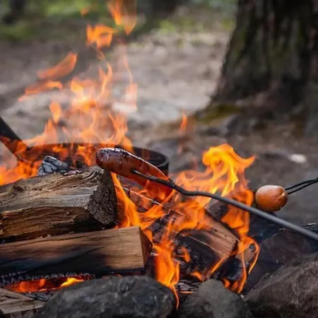 Borealis * Saariselka