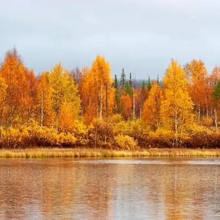 Borealis Vakantiehuis