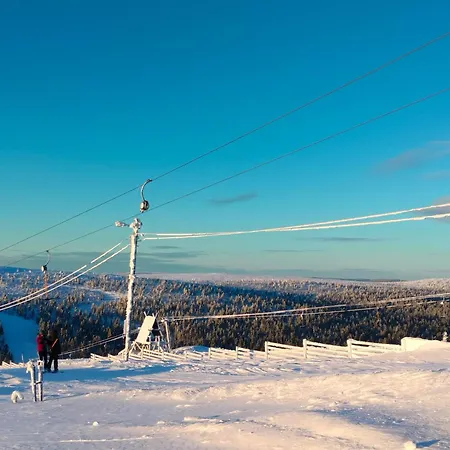 Borealis Tatil Evi *