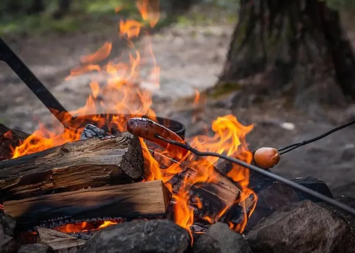 Borealis * Saariselka