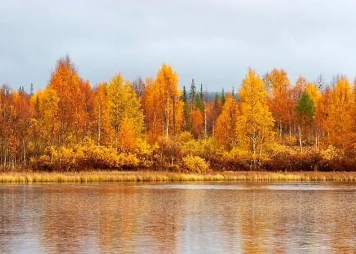 Borealis Holiday home